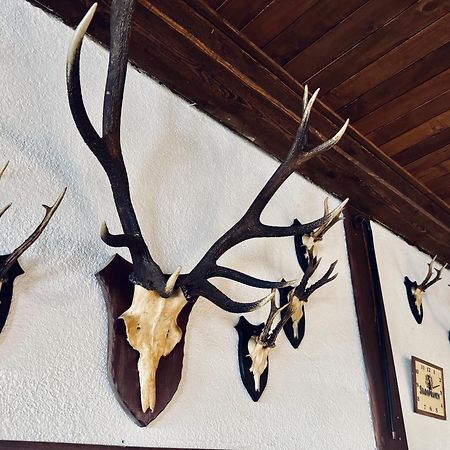 Myslivna Harrachov Hotel Kültér fotó