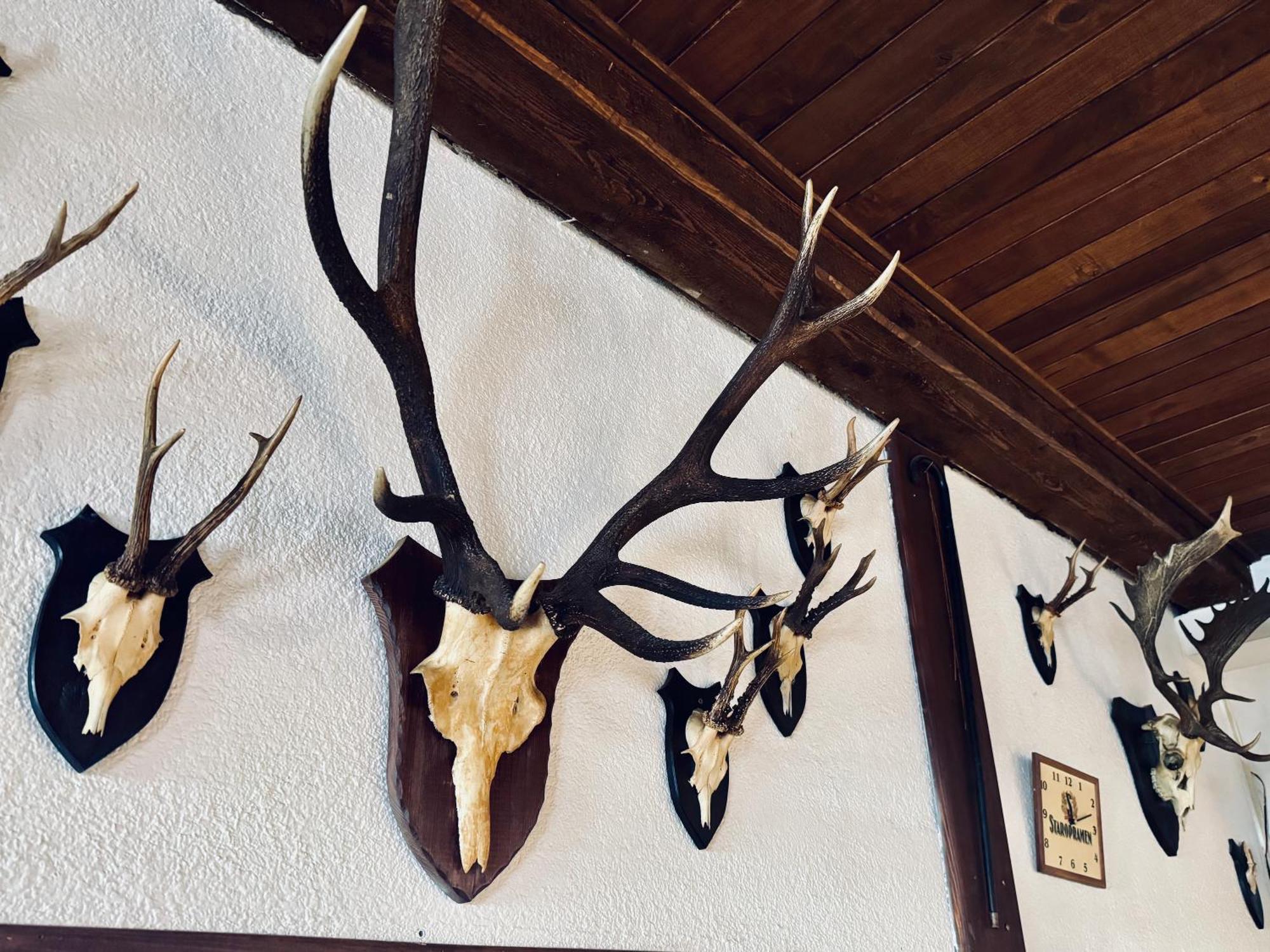 Myslivna Harrachov Hotel Kültér fotó